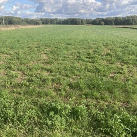  Na sprzedaż dwie działki budowlane w Bronisławach