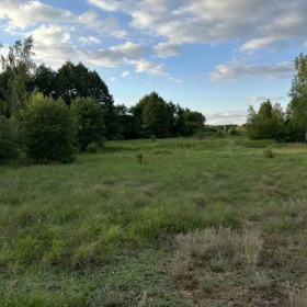 Sprzedam działkę w Radziwiłce, gmina Młodzieszyn