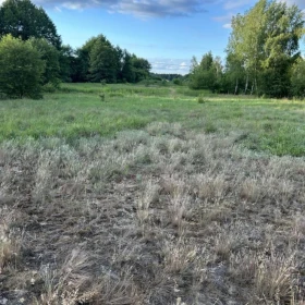 Sprzedam działkę w Radziwiłce, gmina Młodzieszyn