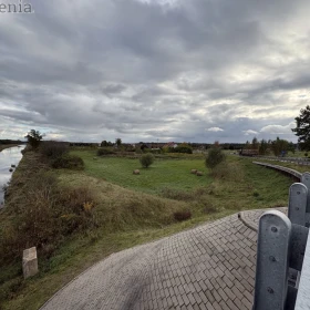 Na sprzedaż wyjątkowe siedlisko – Jeglin, gmina Pisz (Mazury)