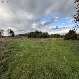 Na sprzedaż wyjątkowe siedlisko – Jeglin, gmina Pisz (Mazury)