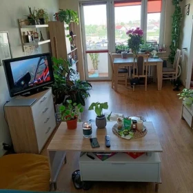 Wynajmę mieszkanie kawalerka Tczew