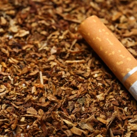 Tytoń sprzedam Tanio 50 zł / Kg Wrocław i okolice